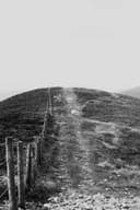 Tanya V profile picture