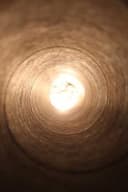 Sneha K profile picture