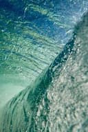 Neha T profile picture