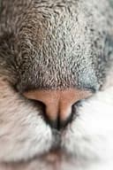 Divya R profile picture