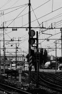 Neha P profile picture